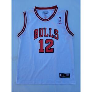 Reebok NBA Chicago Bulls Kirk Hinrich Basketball Jersey Size L 14-16 Youth